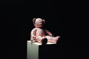 Zebra Mini Teddy 2