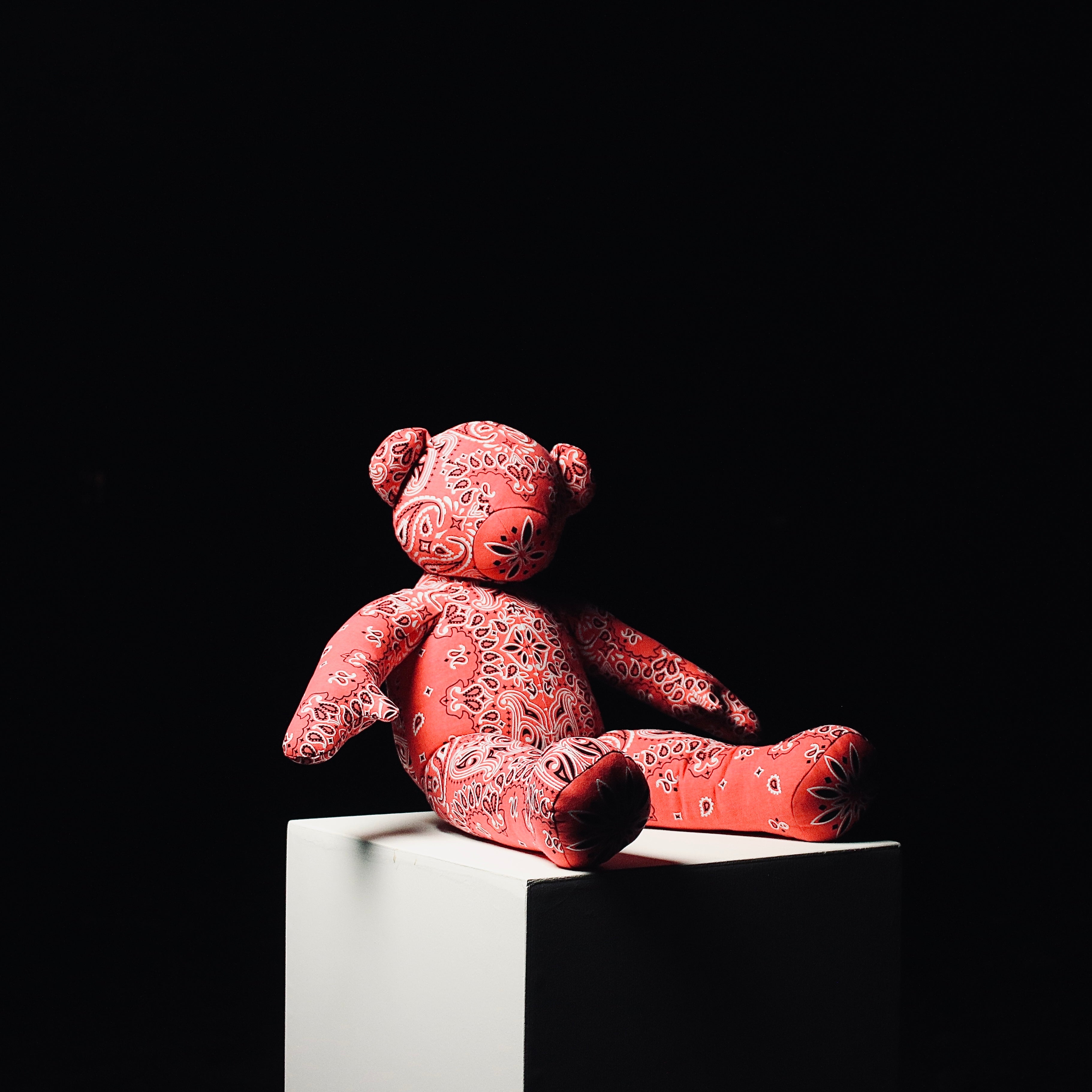 Bandana Mini Teddy 2