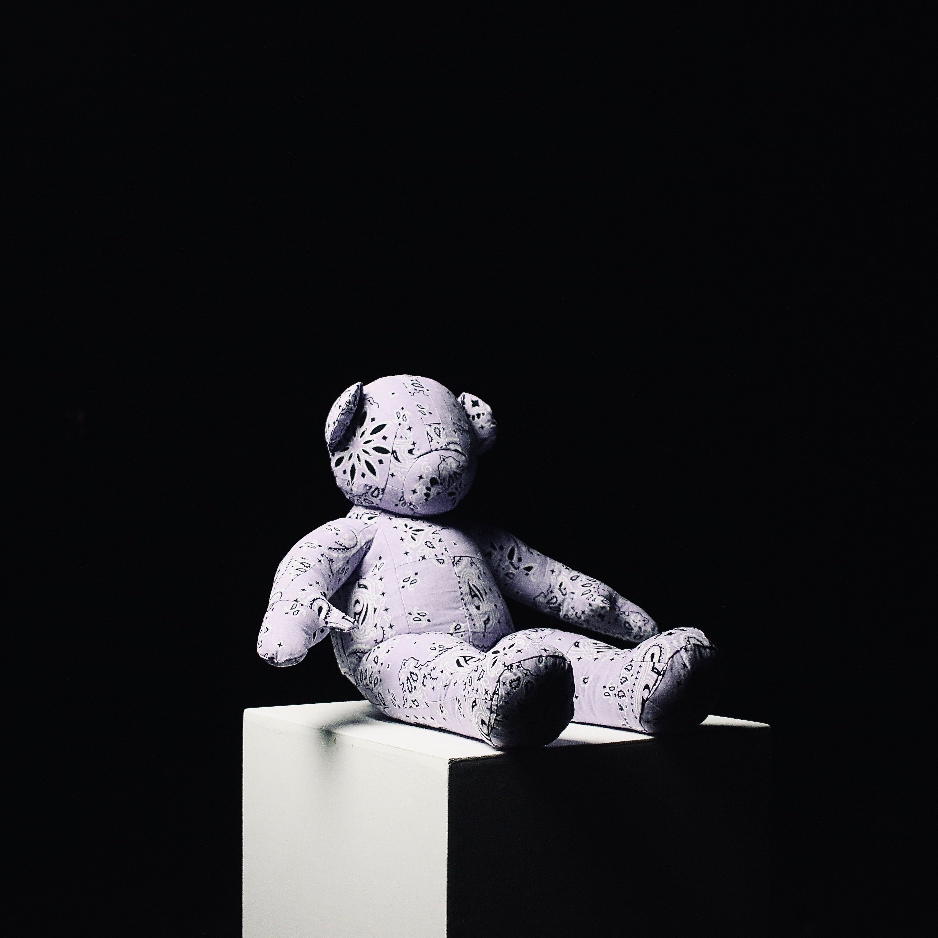 Bandana Mini Teddy 1