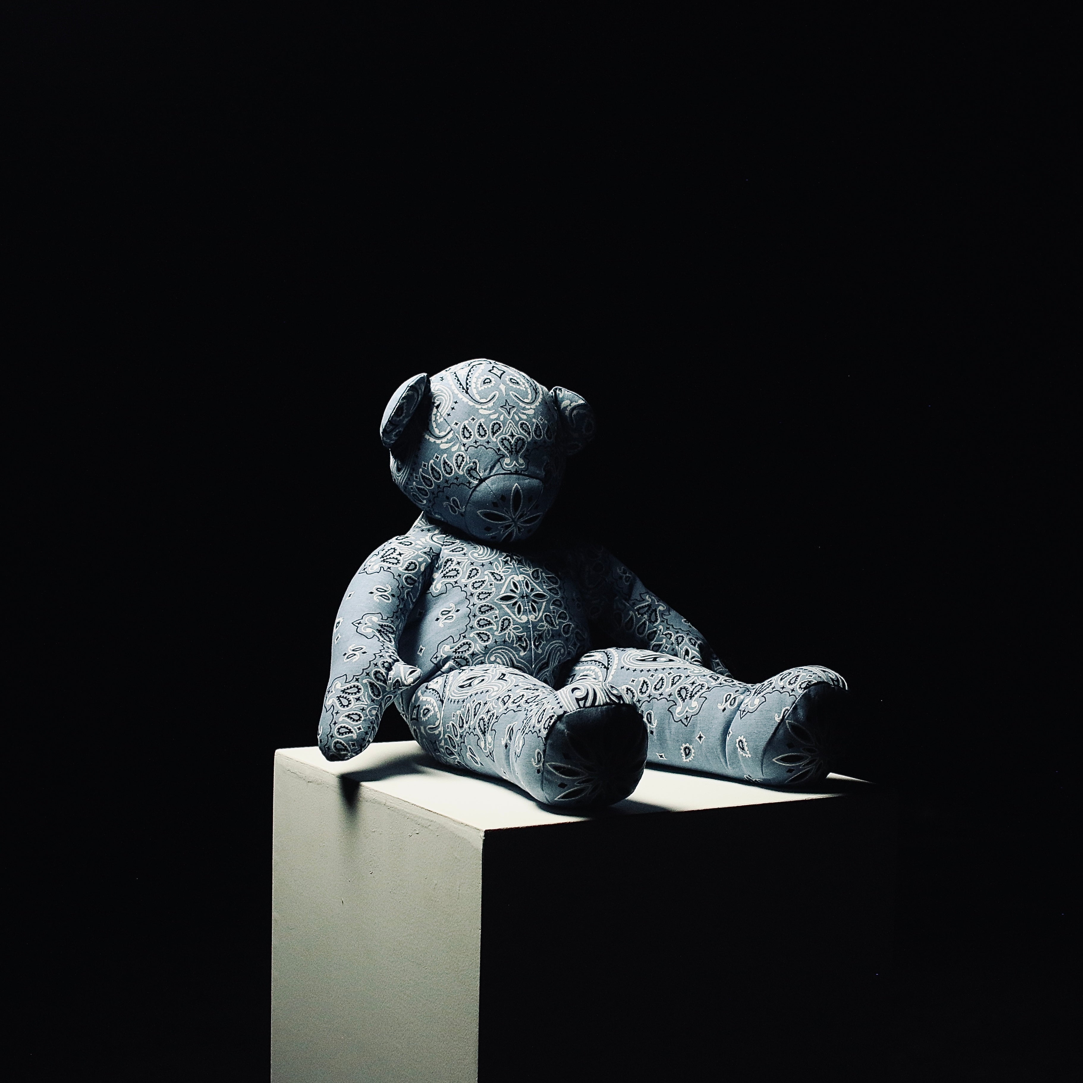 Bandana Mini Teddy 4