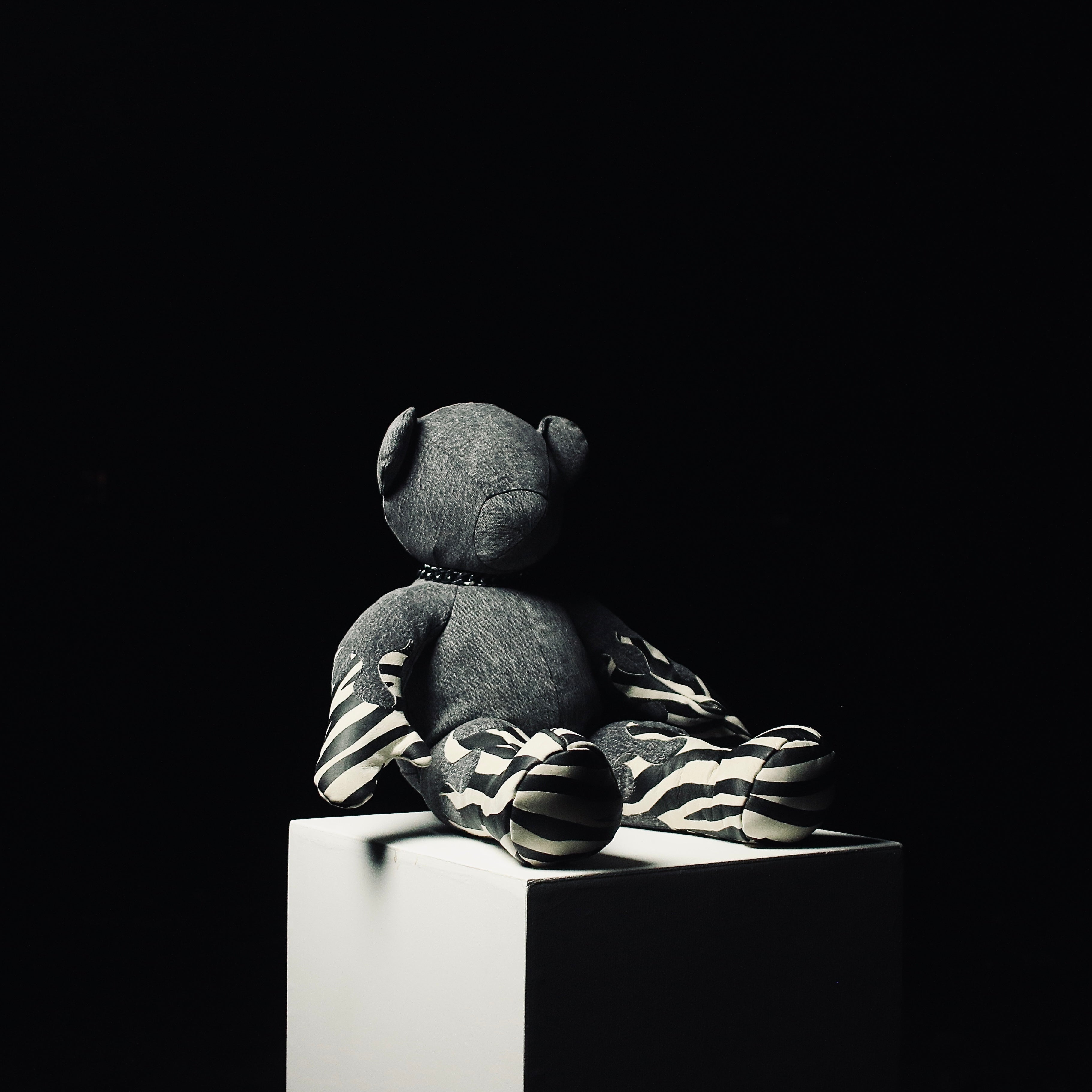Denim Mini Teddy 7