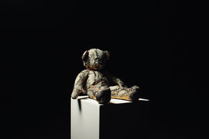 Python Mini Teddy 1