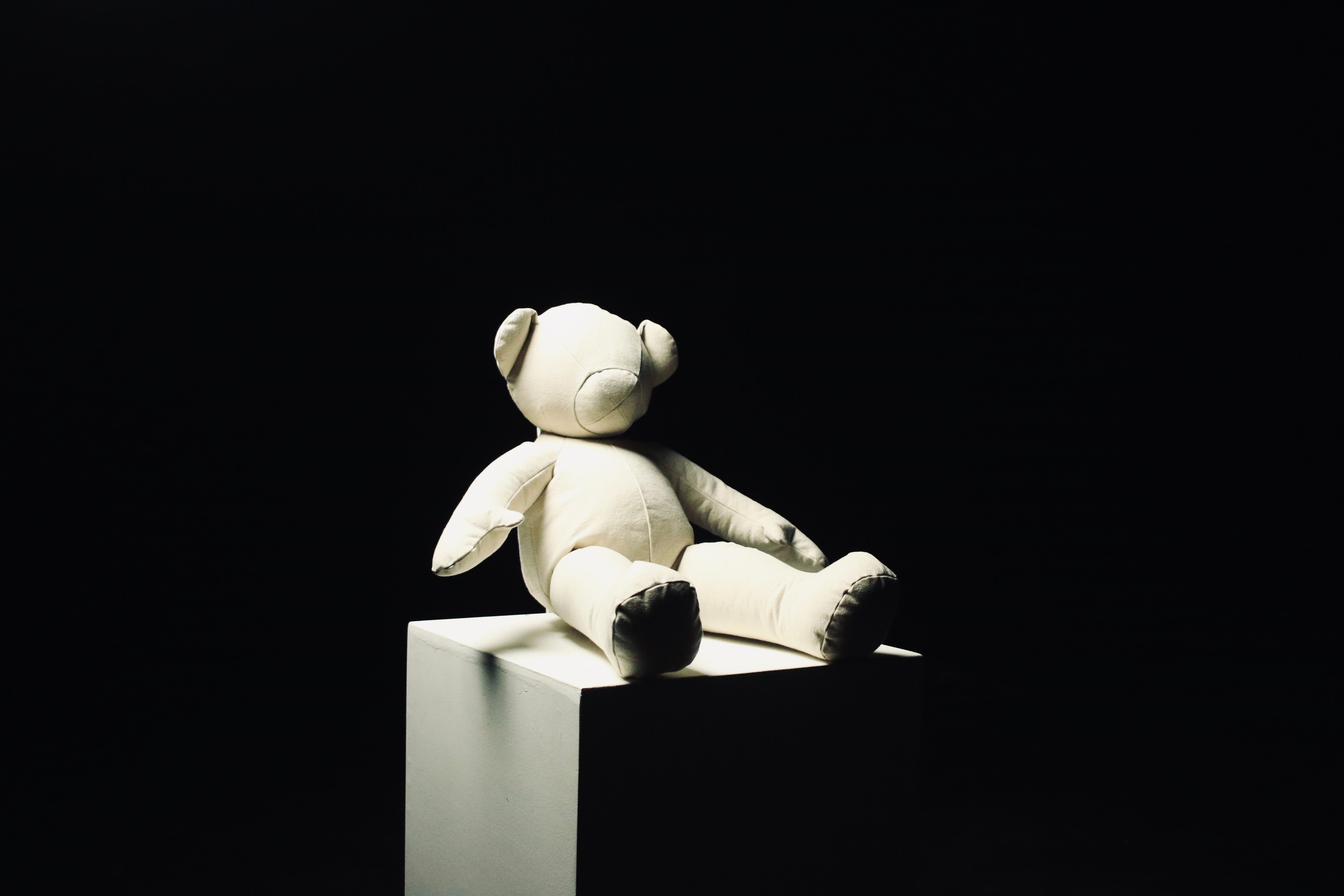 Canvas Mini Teddy 2