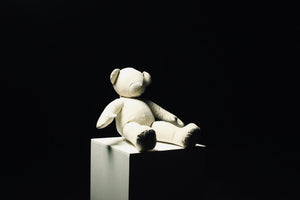 Canvas Mini Teddy 2
