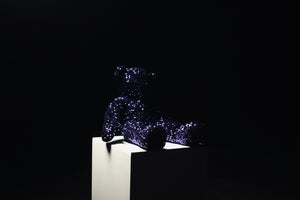 Sequins Mini Teddy 2