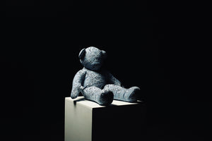 Bandana Mini Teddy 4