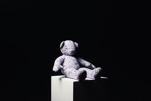 Bandana Mini Teddy 1