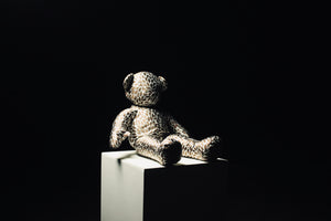 Abstract Mini Teddy 4