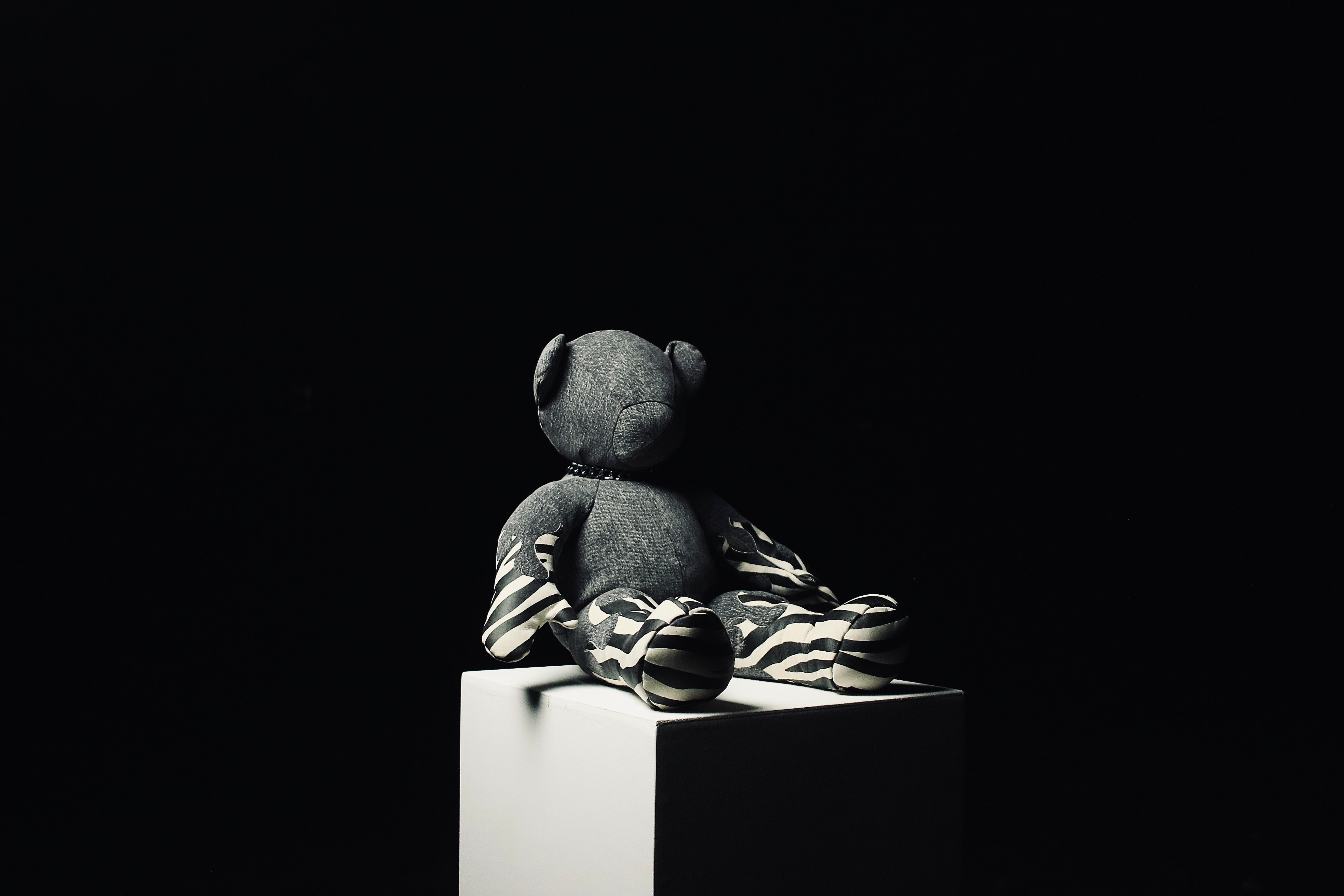 Denim Mini Teddy 7