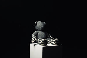 Denim Mini Teddy 7