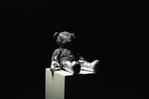 Bandana Mini Teddy 5