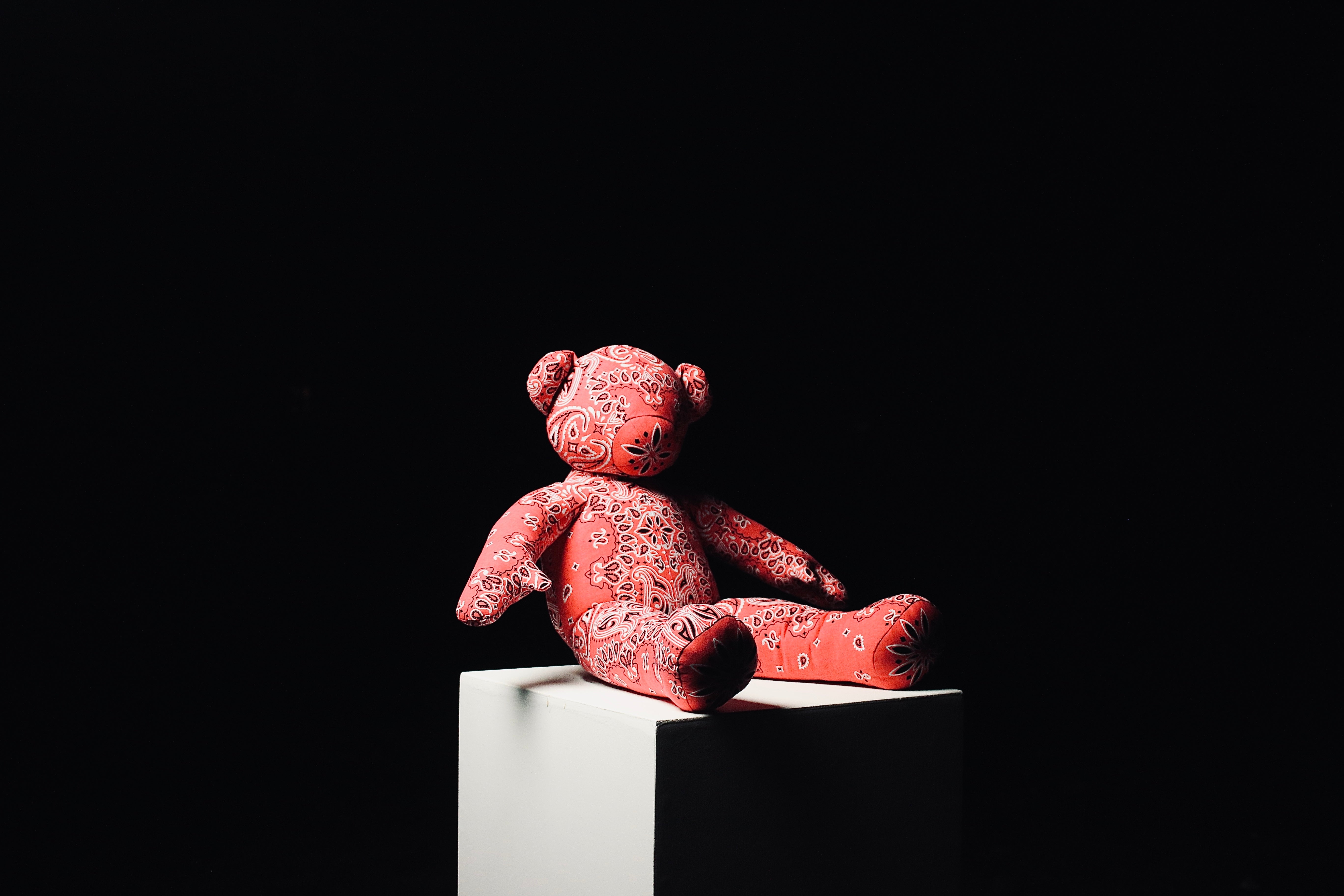 Bandana Mini Teddy 2