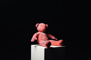 Bandana Mini Teddy 2