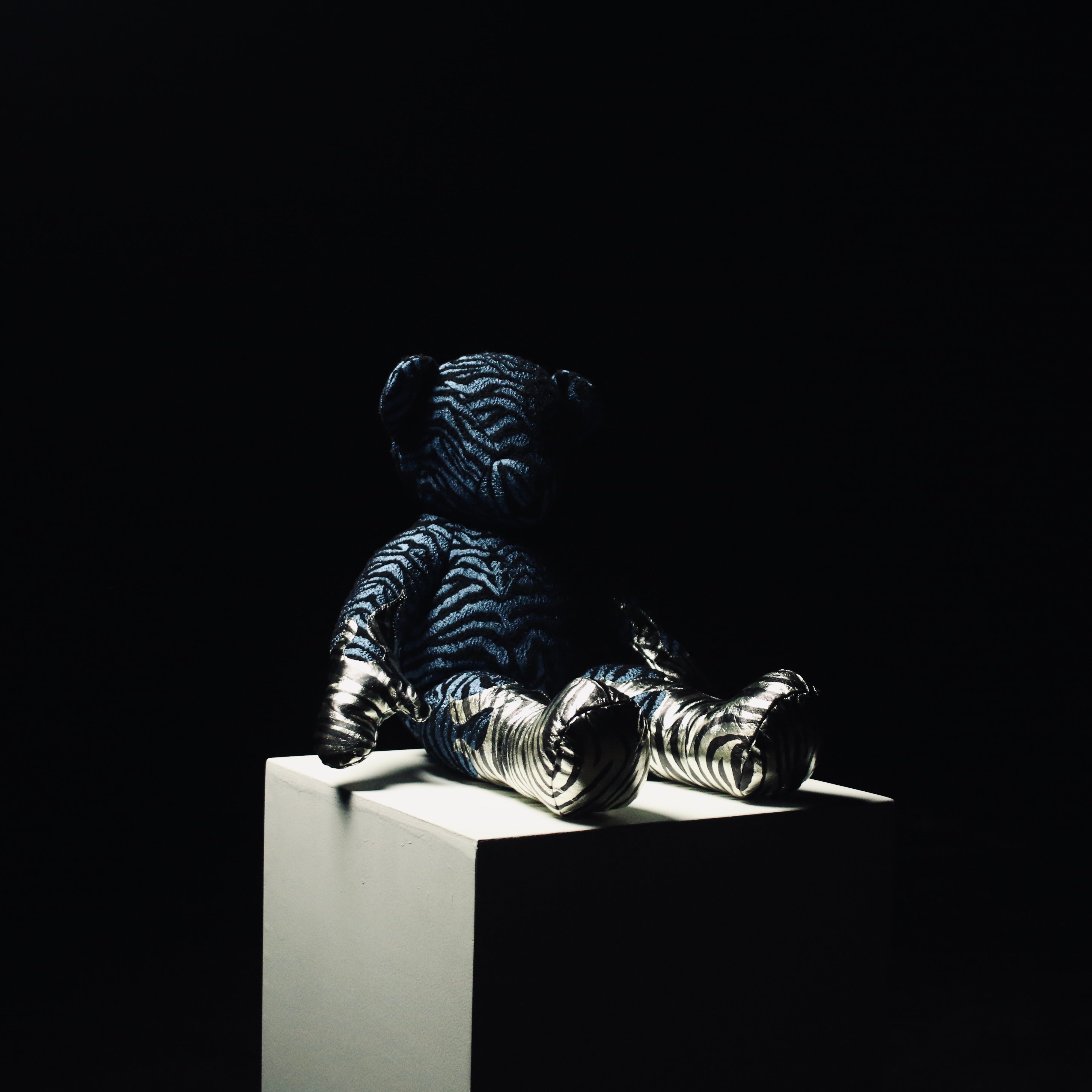 Zebra Mini Teddy 5